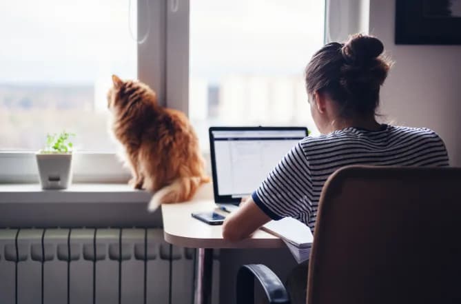 Woman on computer with cat
