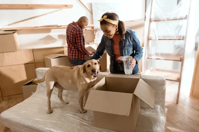 Woman with moving boxes and dog