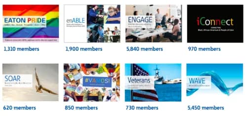 Eight images representing Eaton's iERGs and their membership numbers.